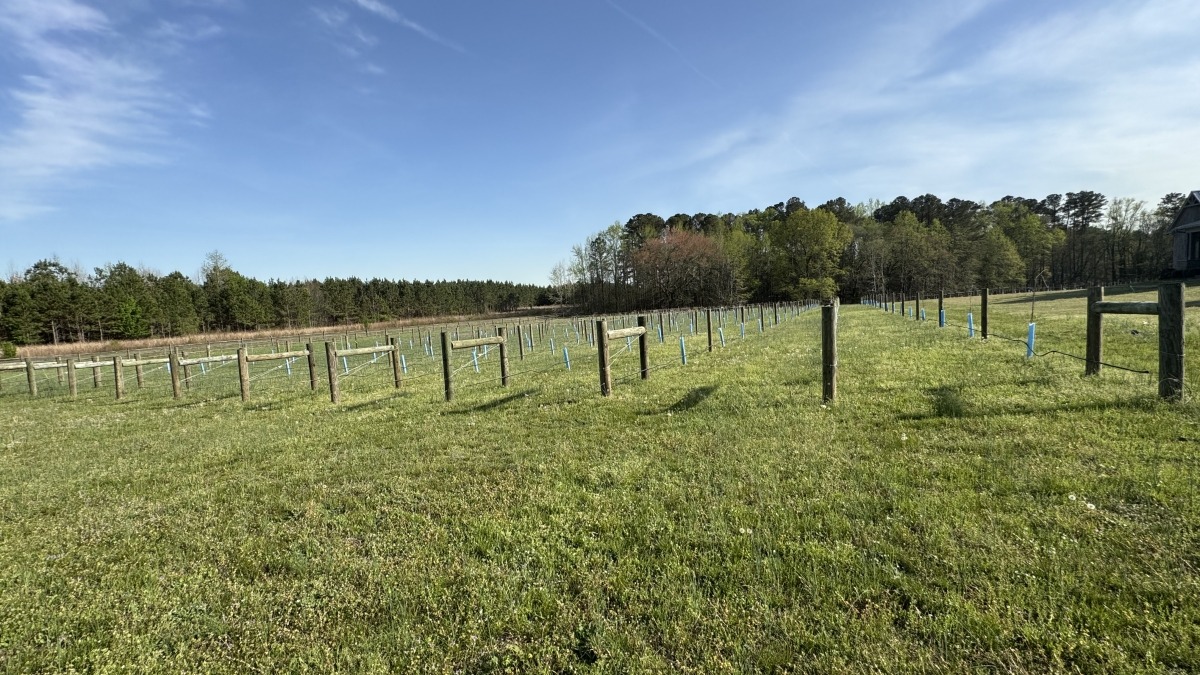 Ubuntu Farm