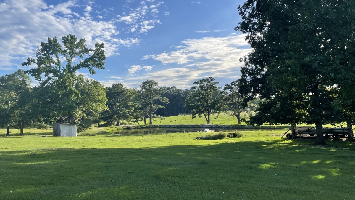 mid part of back pasture showing pond