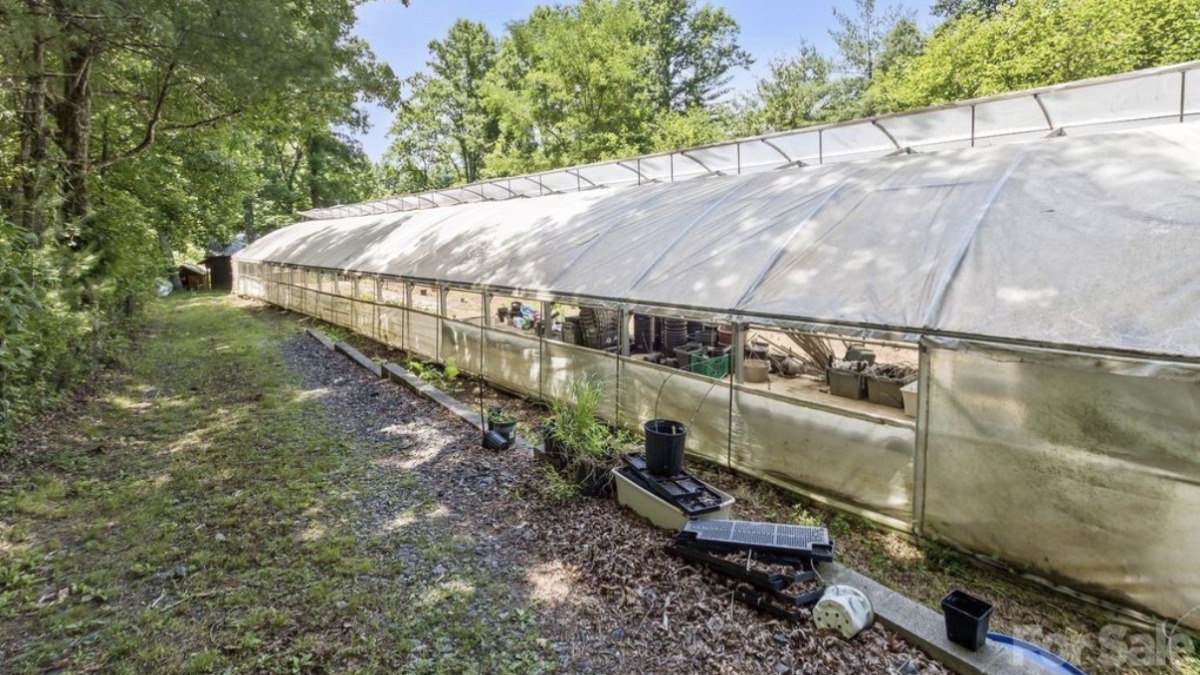 The outside of a greenhouse. Surrounded by green trees and blue sky 