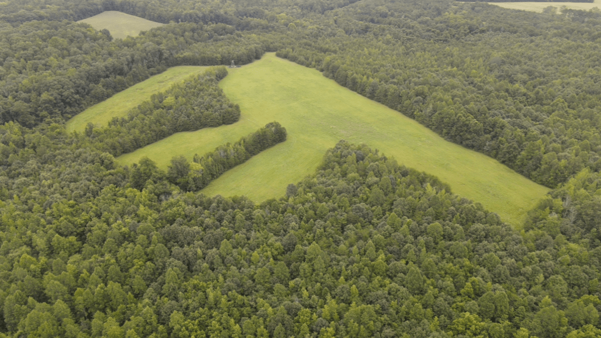 Open land 