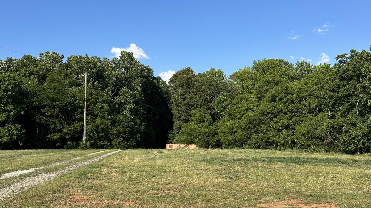 Open Field
