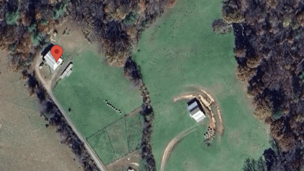 aerial photo from google