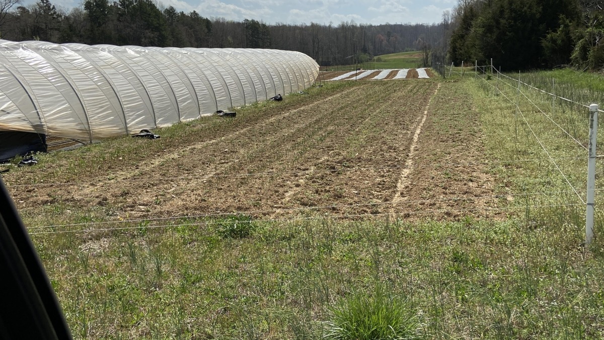 [previous farmer's] Caterpillar tunnels