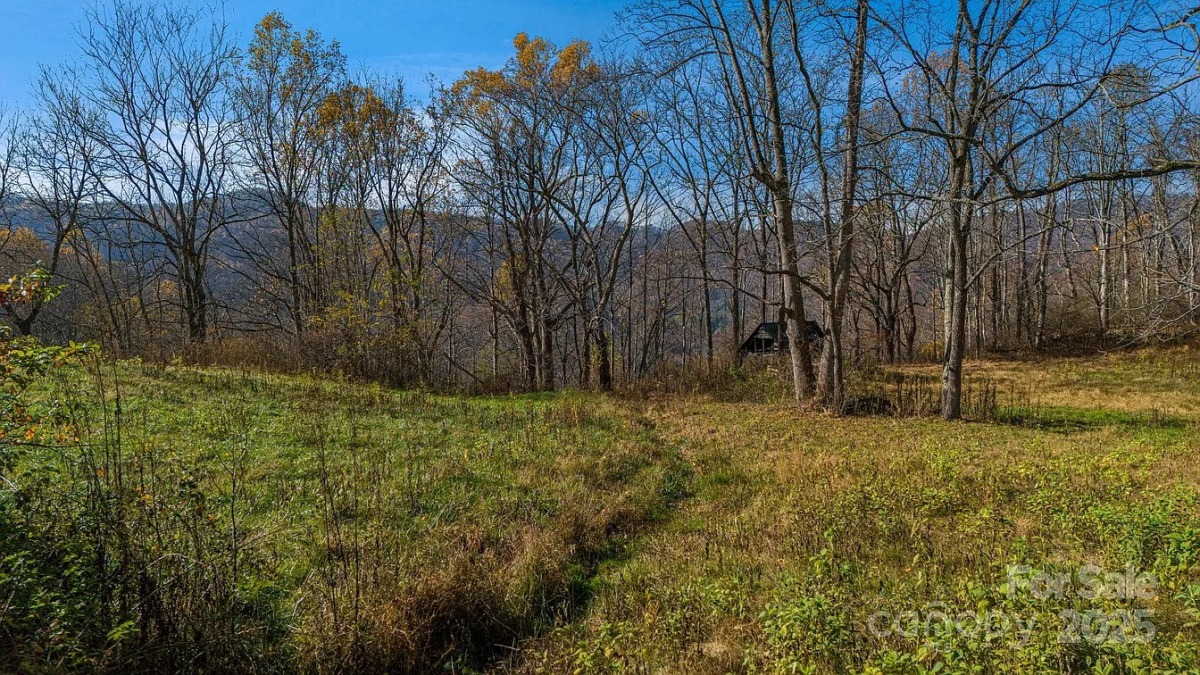 Middle Meadow