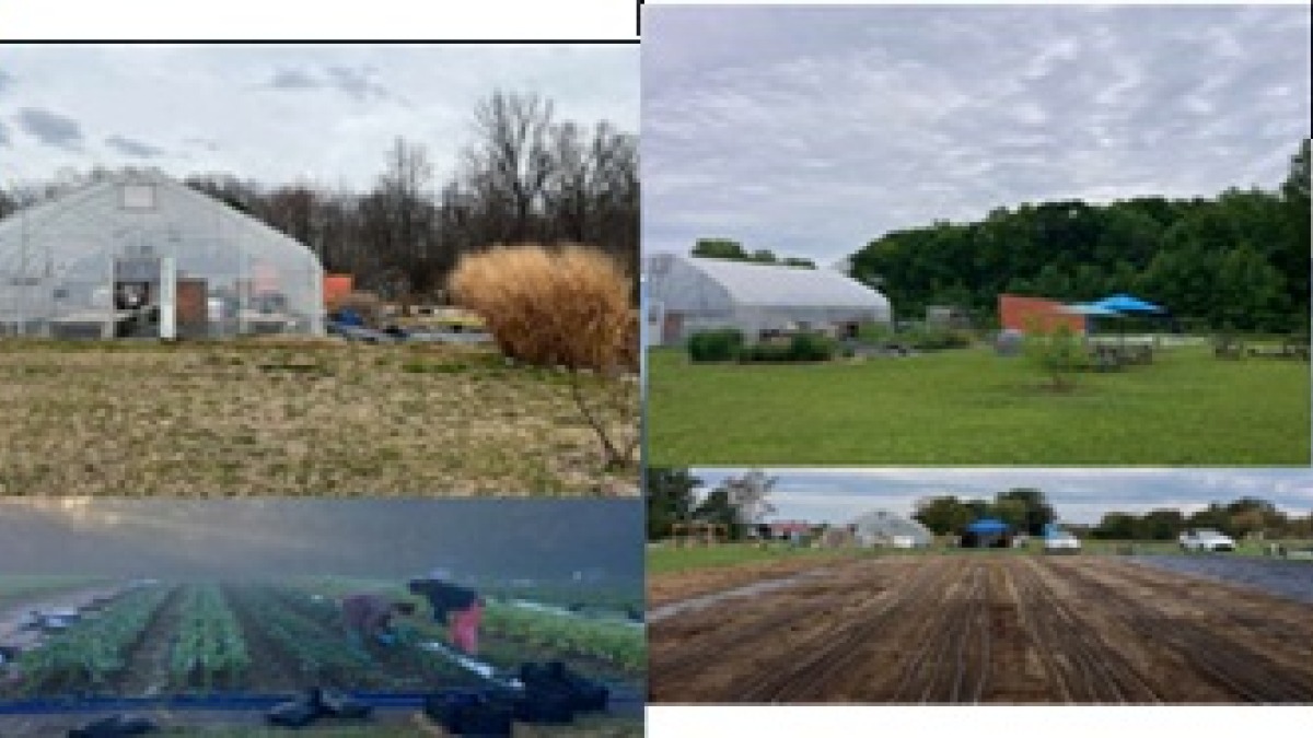Showing different part of the farm