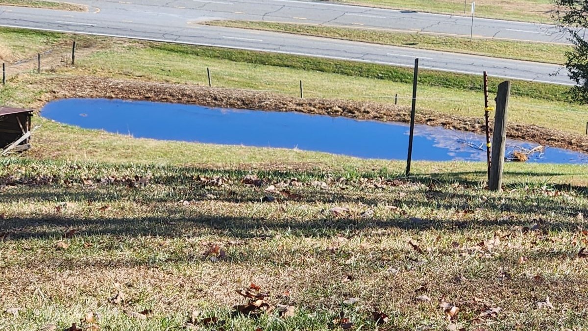 pasture and pond