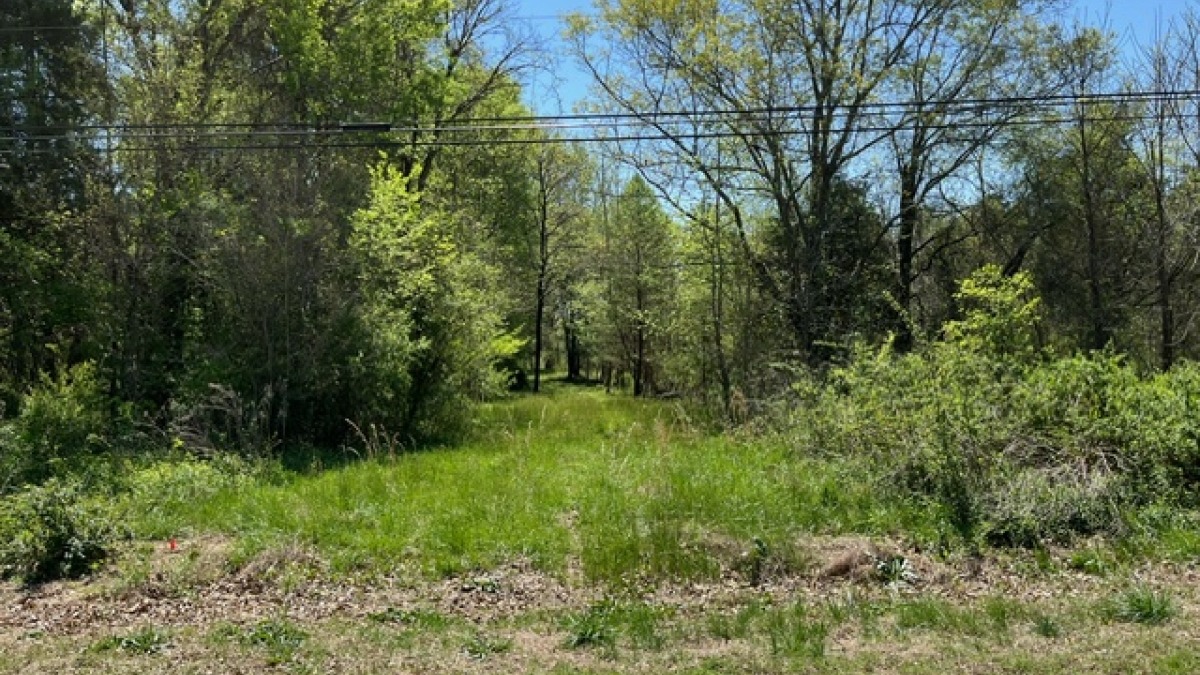 Property from Wild Turkey Road