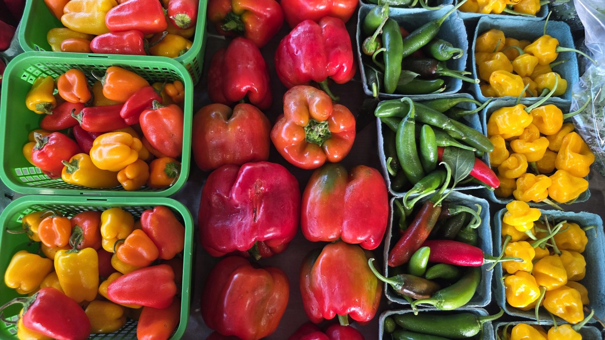 Pic from farmers market