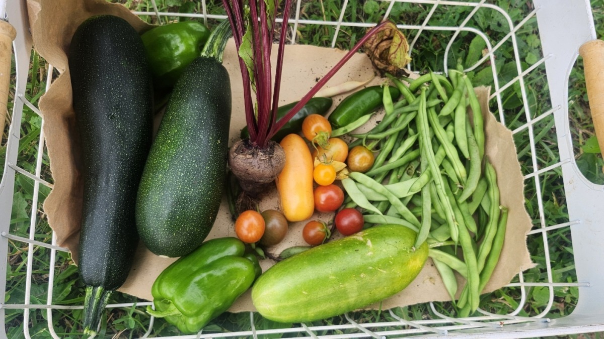 Community gardening
