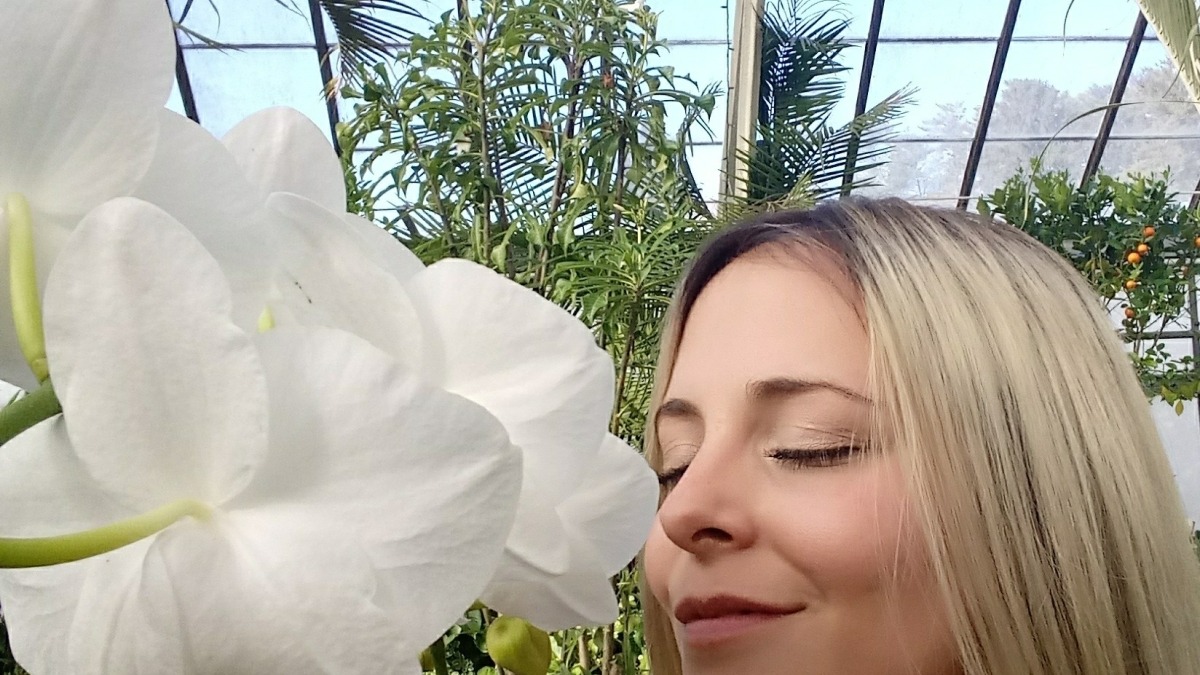 Orchids
