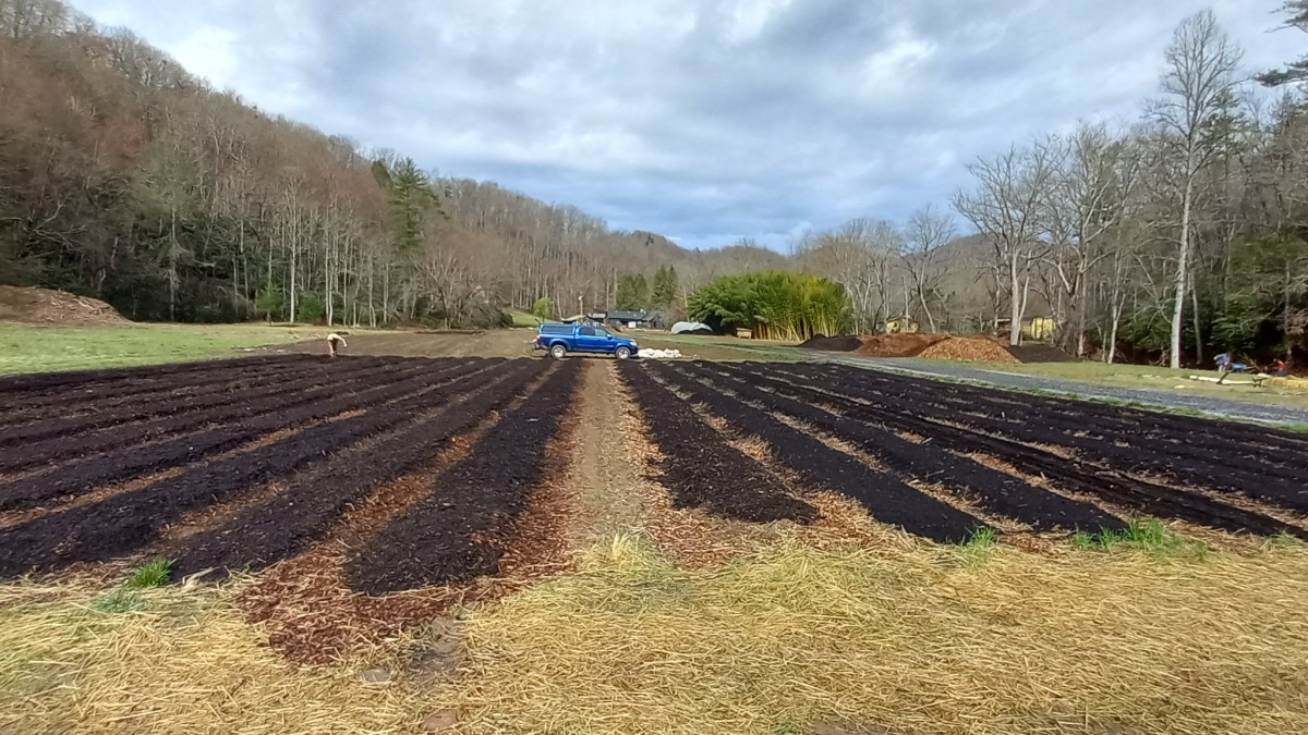 Raised beds
