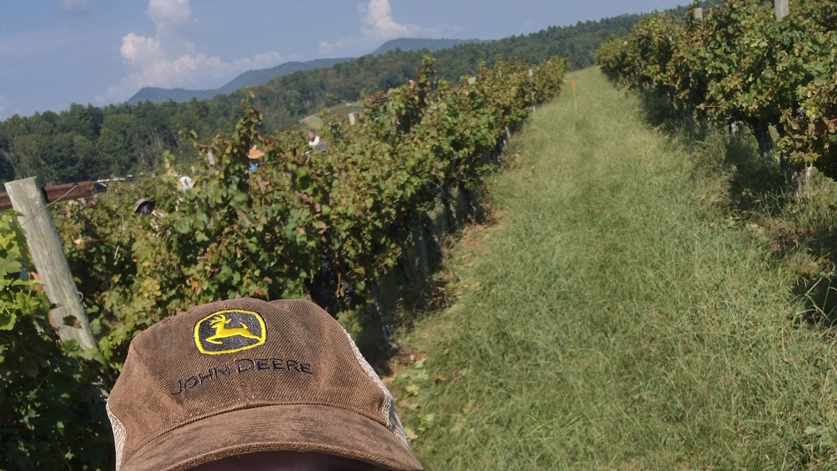Me posing for a selfie at my current job at the grape orchard at the Biltmore 