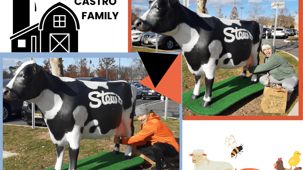 Castro Family aspiring to homestead!