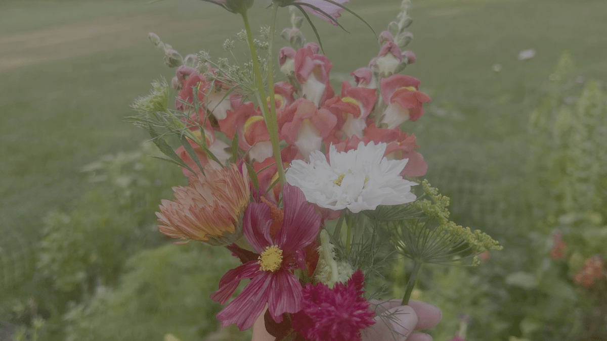 Assorted flowers and herbs being held 