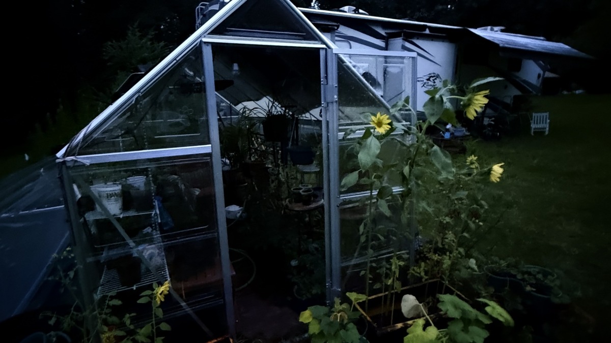 My beautiful garden 