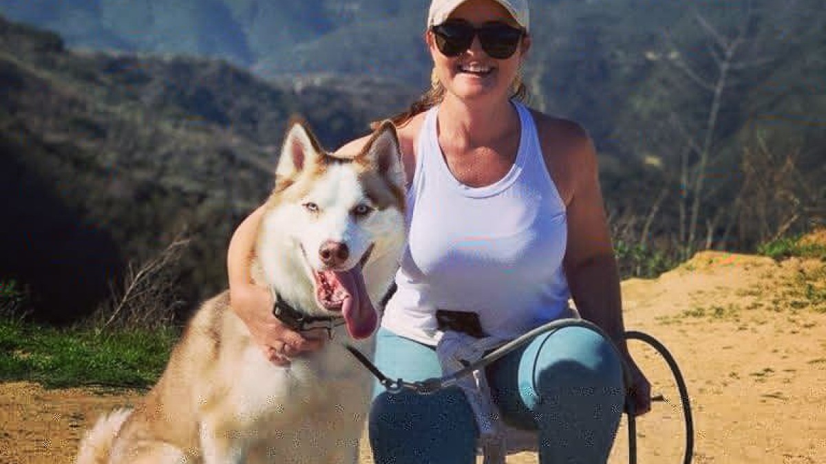 Dogs and mountains