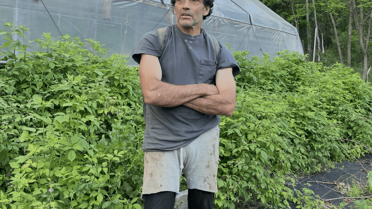 Heathcote Community Farm, Freeland, MD, 2022