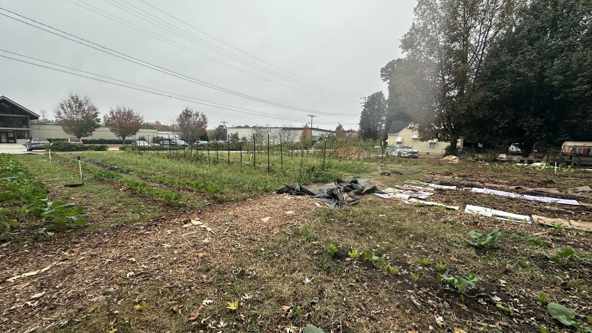 A portion of the land I manage right now, half an acre and has chickens 