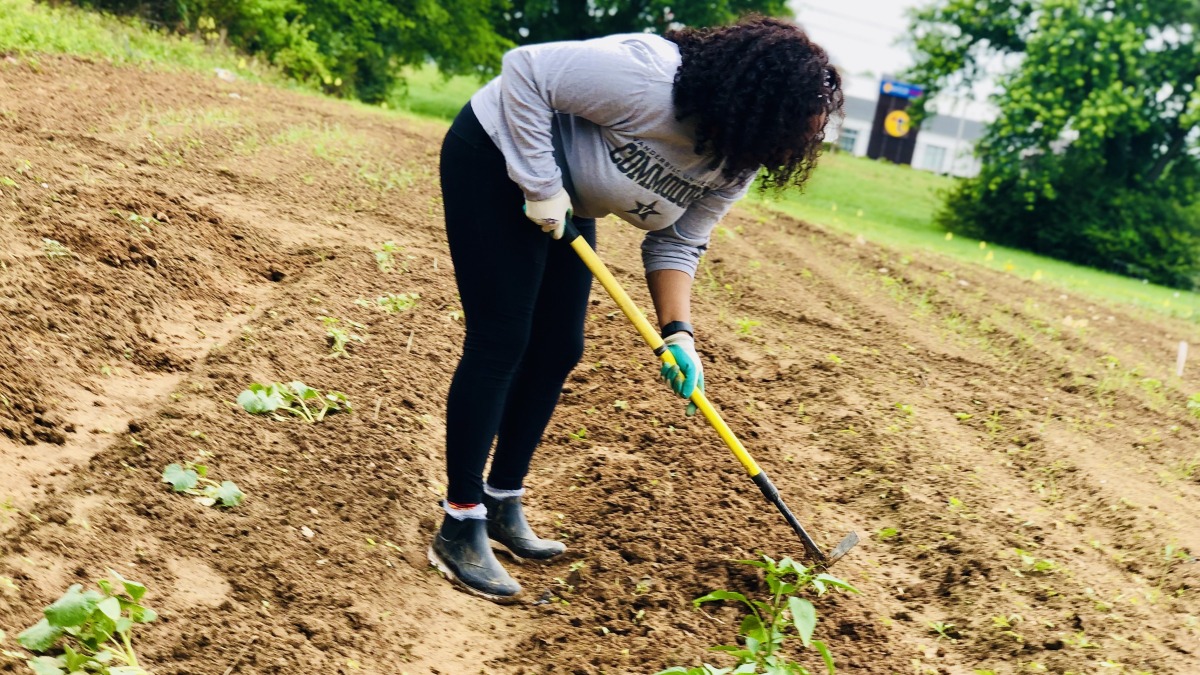 I’m an urban farmer and Agricultural Science graduate seeking land in Fayetteville, NC to grow fresh produce for my mobile market and provide food access, education, and community engagement.