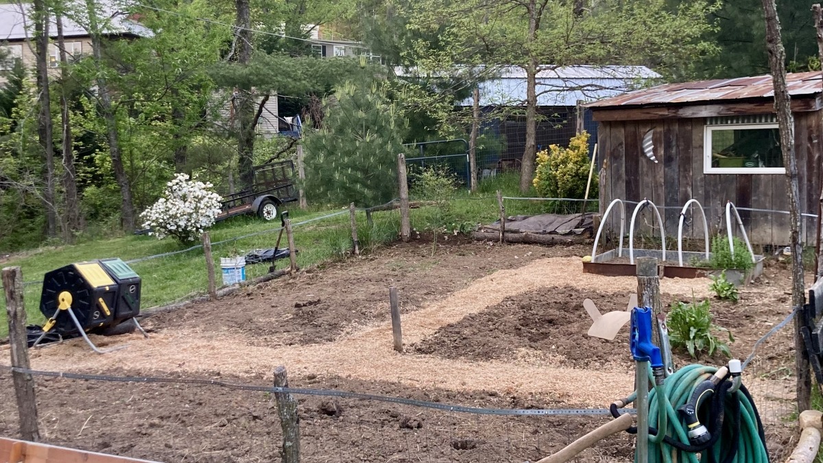 Photo of 2024, 625 square foot garden with a 6-inch shovel-till and one 40-inch+ wide pathway in a "t" design.