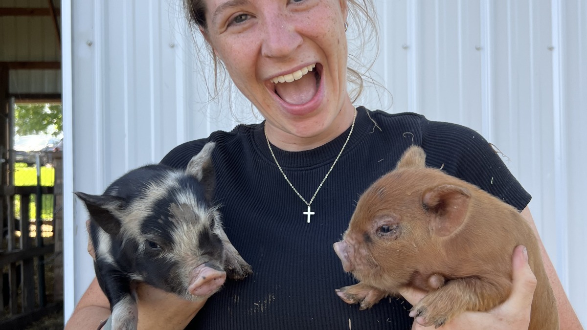 A colorful image of a woman holding two piglets