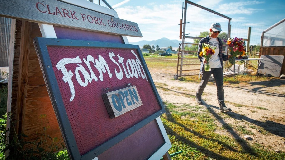 image of the Clark Fork Organics farmstand sign showing "open" while i am in the background carrying two bouquets of cut flowers