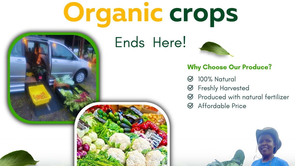 This image is a promotional poster for Harvest Roots Organic Farm. It highlights the farm’s focus on natural, organic crops, showcasing vibrant photos of farmers harvesting and fresh produce in the field. The flyer emphasizes that the produce is 100% organic, freshly harvested, and grown without chemical fertilizers, featuring the tagline “Your search for Natural Organic Crops Ends Here!” along with farm contact details and branding
