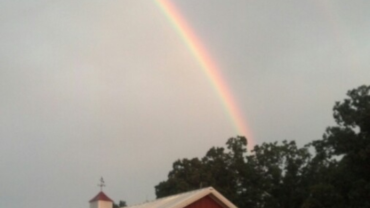 Morton barn/rainbow 