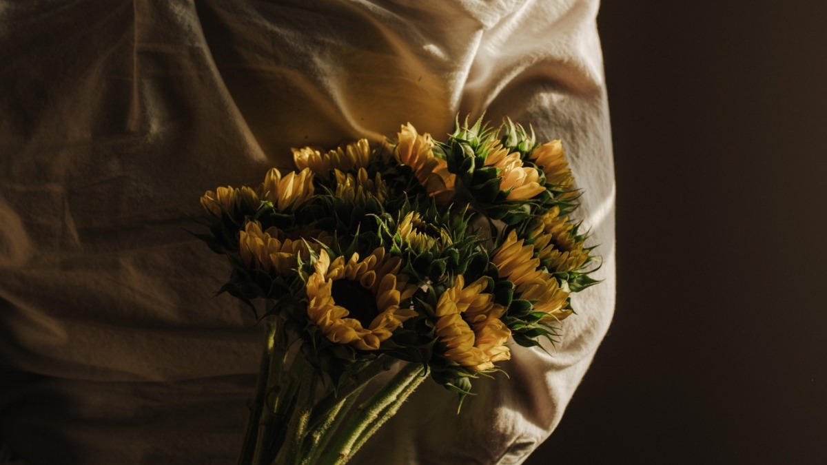 sunflower bundle