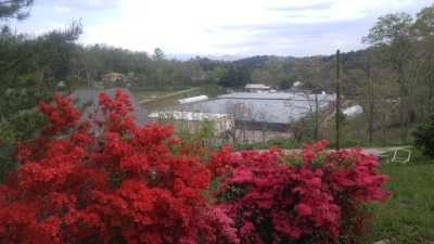 Our beautiful property is nestled in the mountains of Appalachia