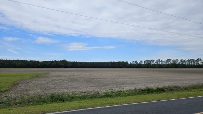 Farmland cleared 2