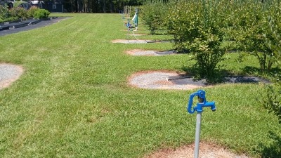 Water hydrants