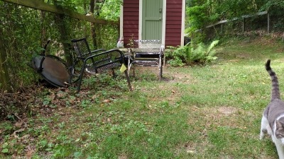 tiny house available 