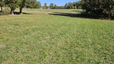 First field behind house