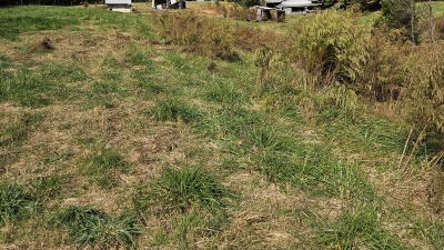 Looking toward barns, landscaping is now better than when pictured 