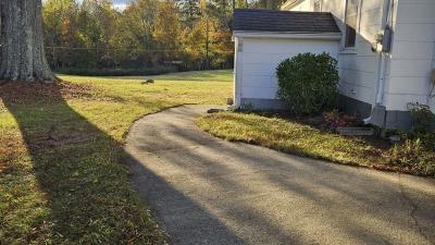 Exterior basement entrance. Back of home