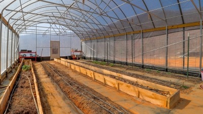 Greenhouse