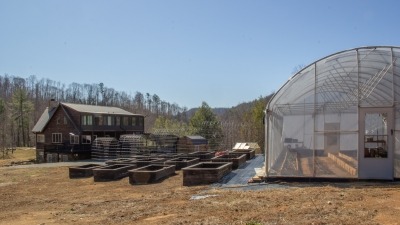 Raised beds and greenhouse
