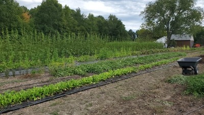 Farm plot