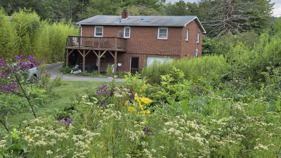 Meadow and back of house