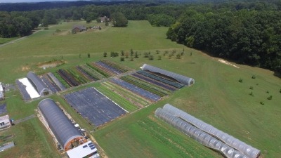 Seedling greenhouse, strawberry houses & hoophouses.