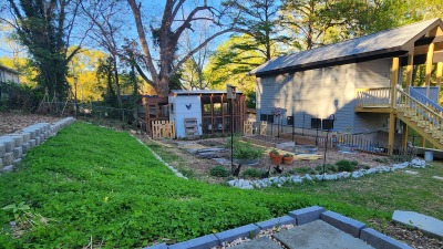Back yard - garden and edible plants 1