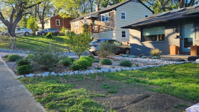 Front yard - pollinator garden 2