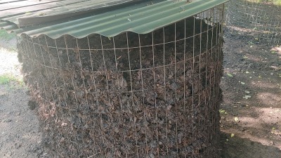 21 day hot compost using leaves, chicken or rabbit manure & green grass
