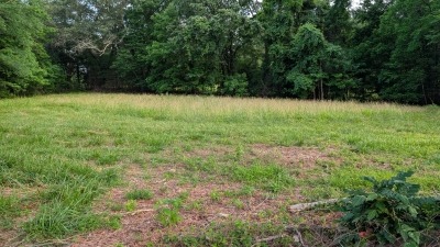 Small field beside the house