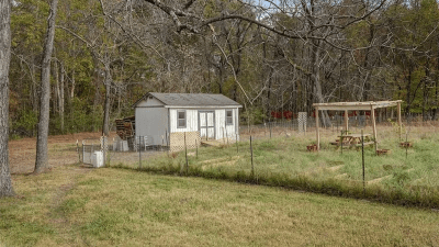 Shed and garden