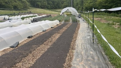 fresh beds