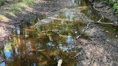 Creek View