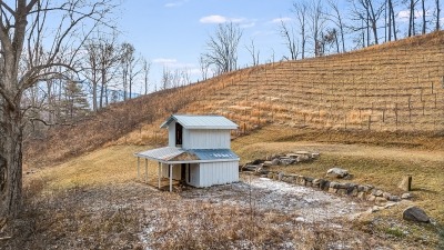 Barn and vineyard