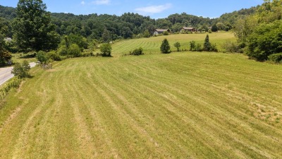 Lower hayfield